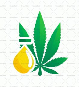Cannabis Öl
